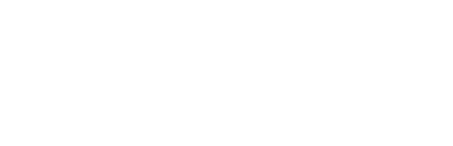 BADGER METER